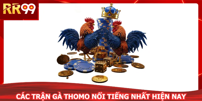Các trận gà thomo nổi tiếng nhất hiện nay