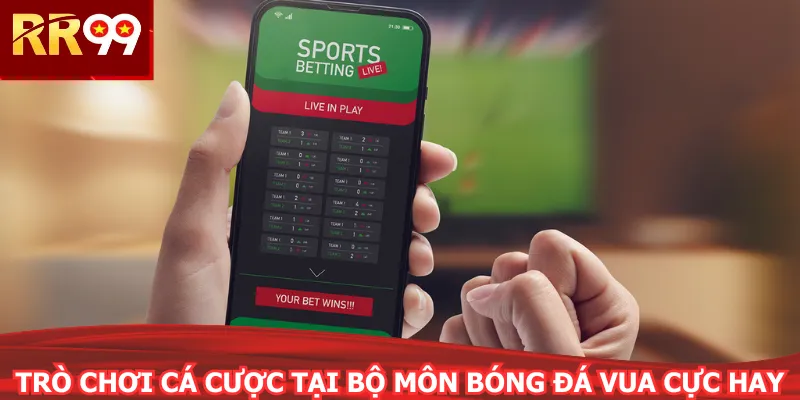 Trò chơi cá cược tại bộ môn bóng đá vua cực hay